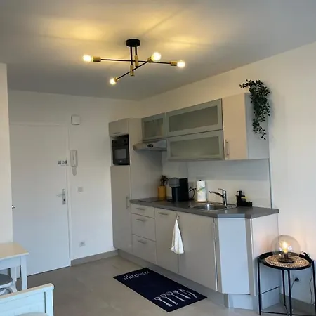 T2 Au Calme, Proche Des Plages, Climatise Et Parking Prive Appartement *
